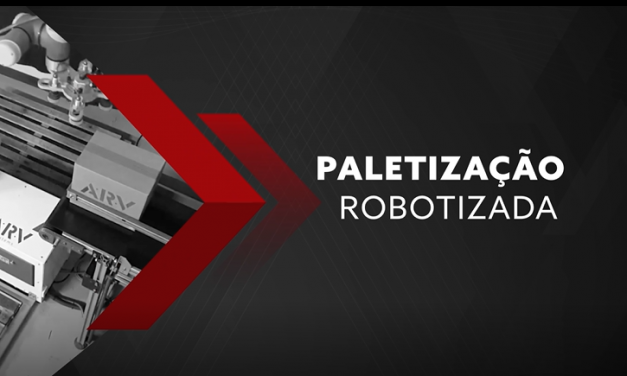 Sistemas de paletização para cargas pesadas: veja como funcionam