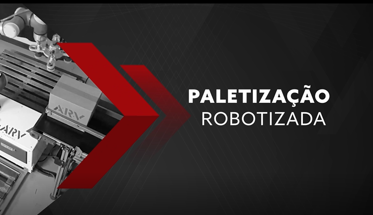 Sistemas de paletização para cargas pesadas: veja como funcionam